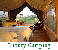 Image 2 show Possible Accommodation For  6 Days Affordable Adventure Serengeti Safari