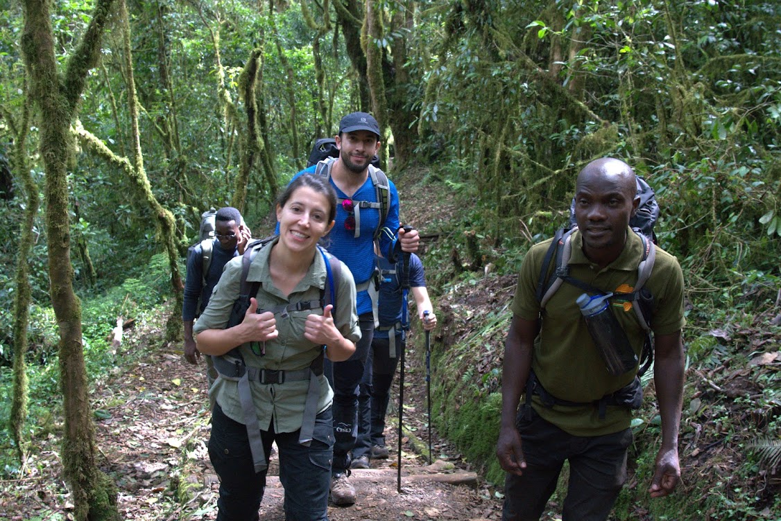 Image Slider No: 1 Day Trip Mt Kilimanjaro Tour Mandara Hut - 2720m