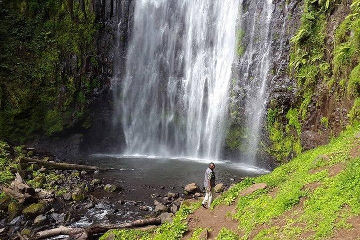 Image Slider No: 1 Materuni Waterfalls & Coffee Excursions in Moshi