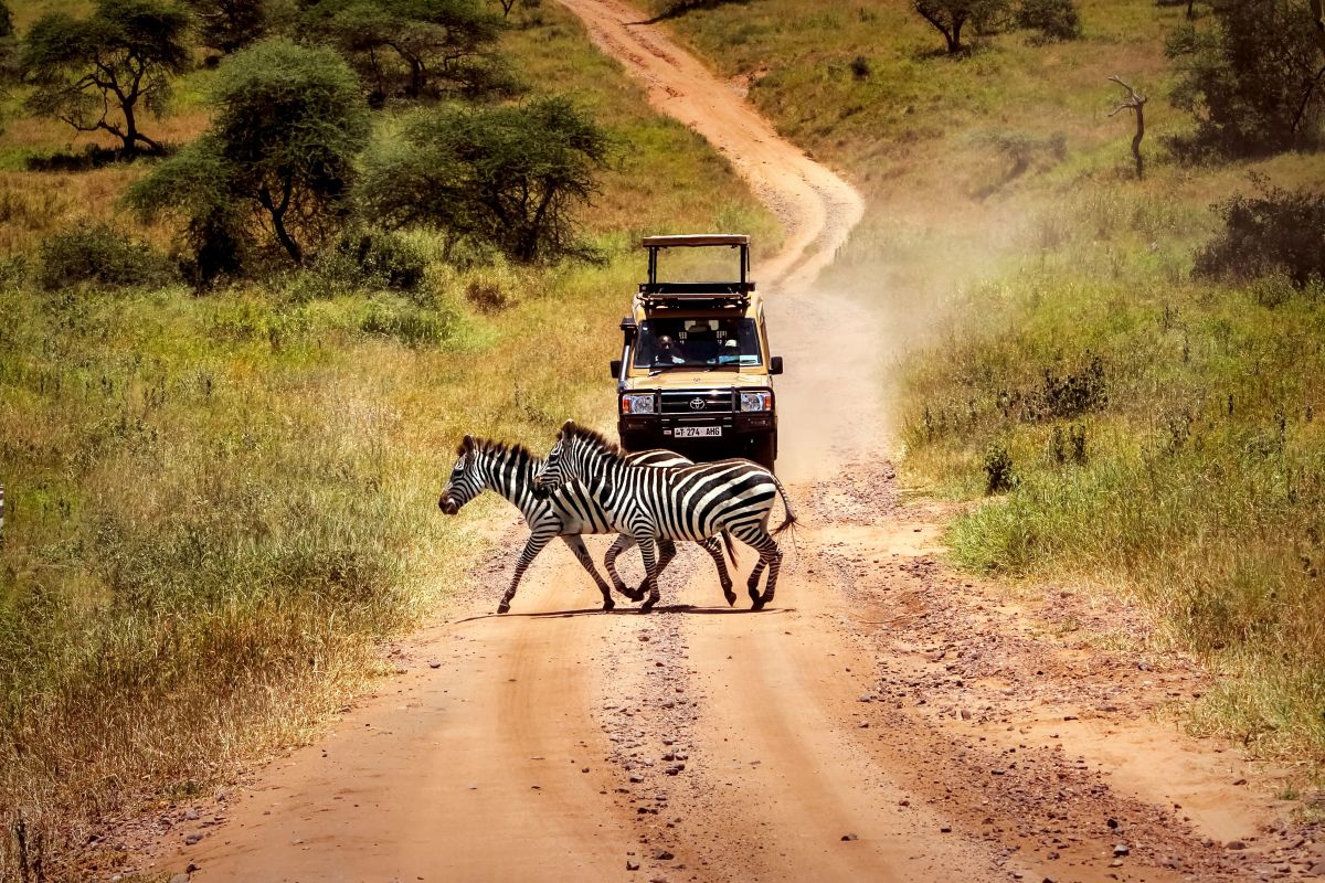 Thumb Nail Image: 3 9 Things Nobody Tells You About Traveling in Tanzania