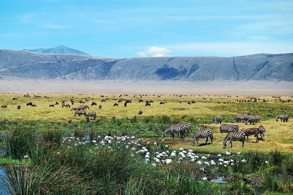 SlideShow Image number: 1 Wild Places - Tarangire vs Lake Manyara vs Ngorongoro Crater – Which Tanzania Safari Park Is Right for You?