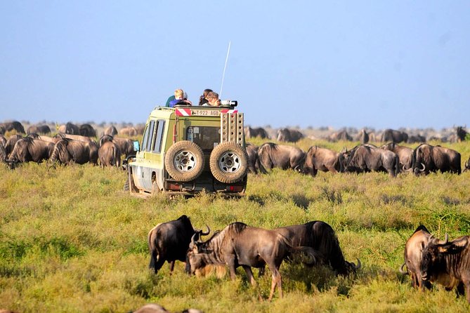 Image Slider No: 2  6 Days Affordable Adventure Serengeti Safari