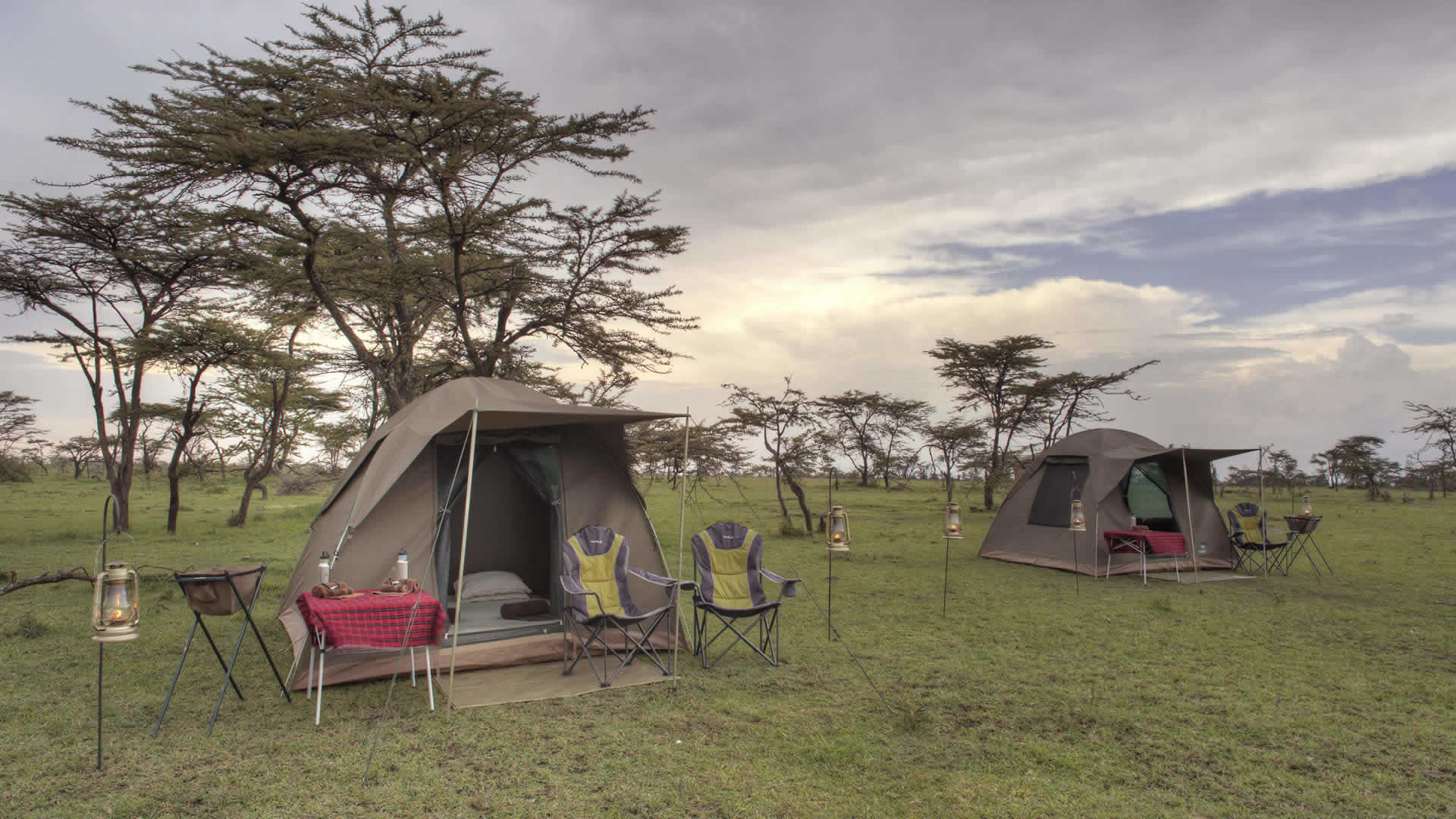 Image Slider No: 3 3 Days Tanzania Safari Adventures