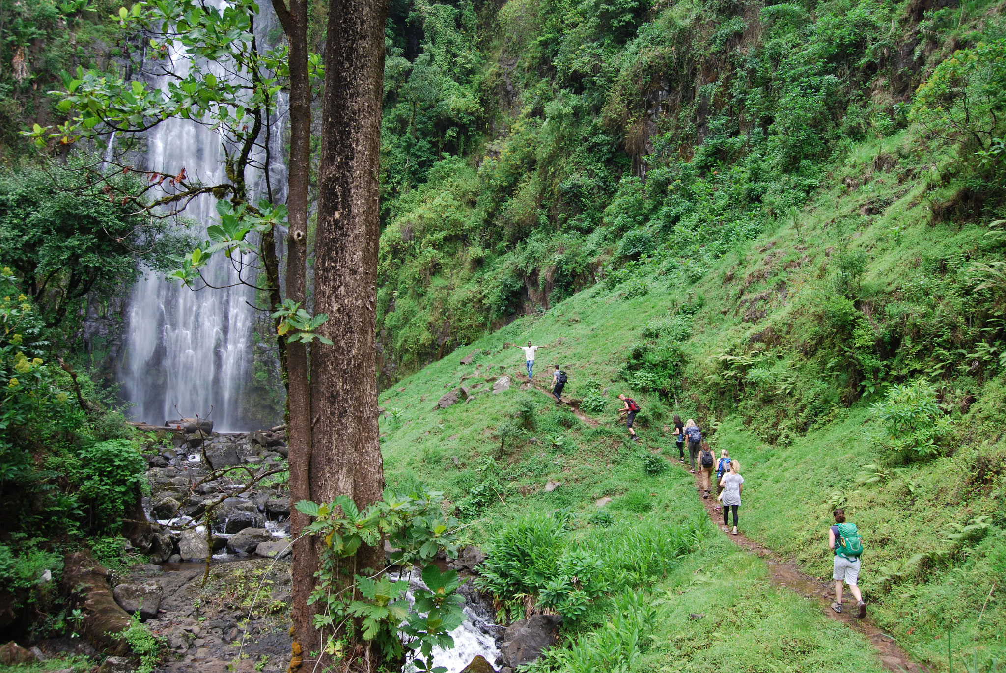Image Slider No: 2 Materuni Waterfalls & Coffee Excursions in Moshi