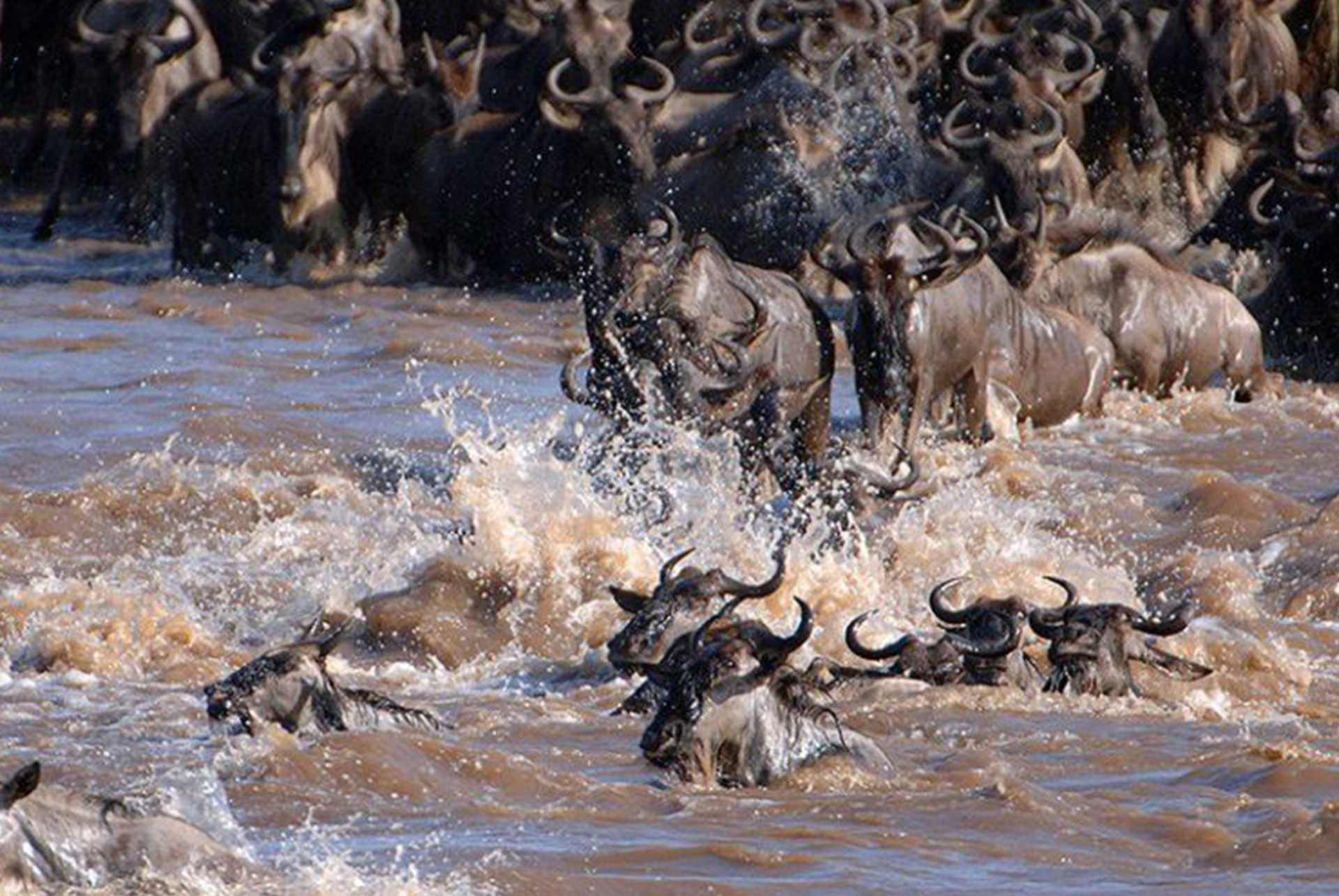 Image Slider No: 1 7 Days Serengeti Wildebeest Migration Safari