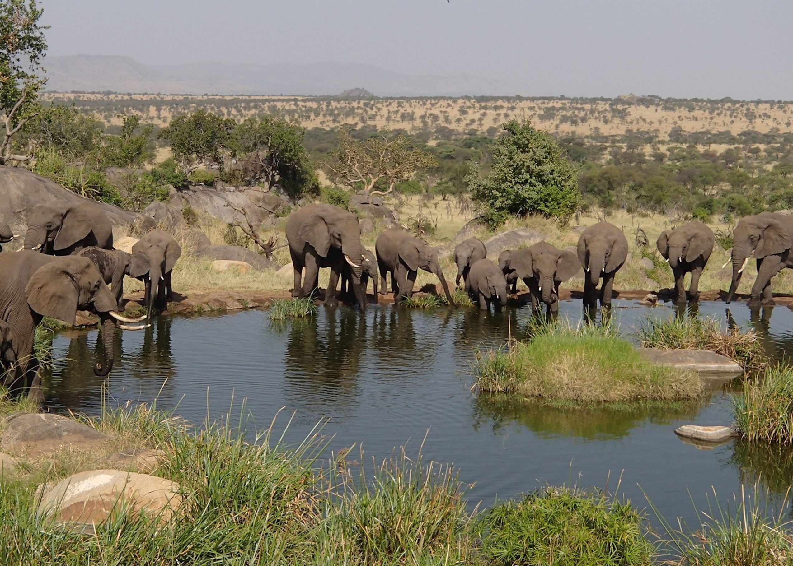 Image Slider No: 1 5 Days Best Tanzania Safari Itinerary