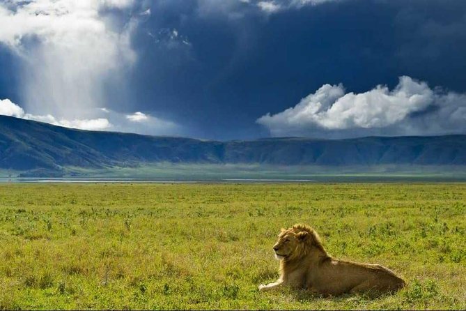 Image Slider No: 5 5 Days Best Tanzania Safari Itinerary