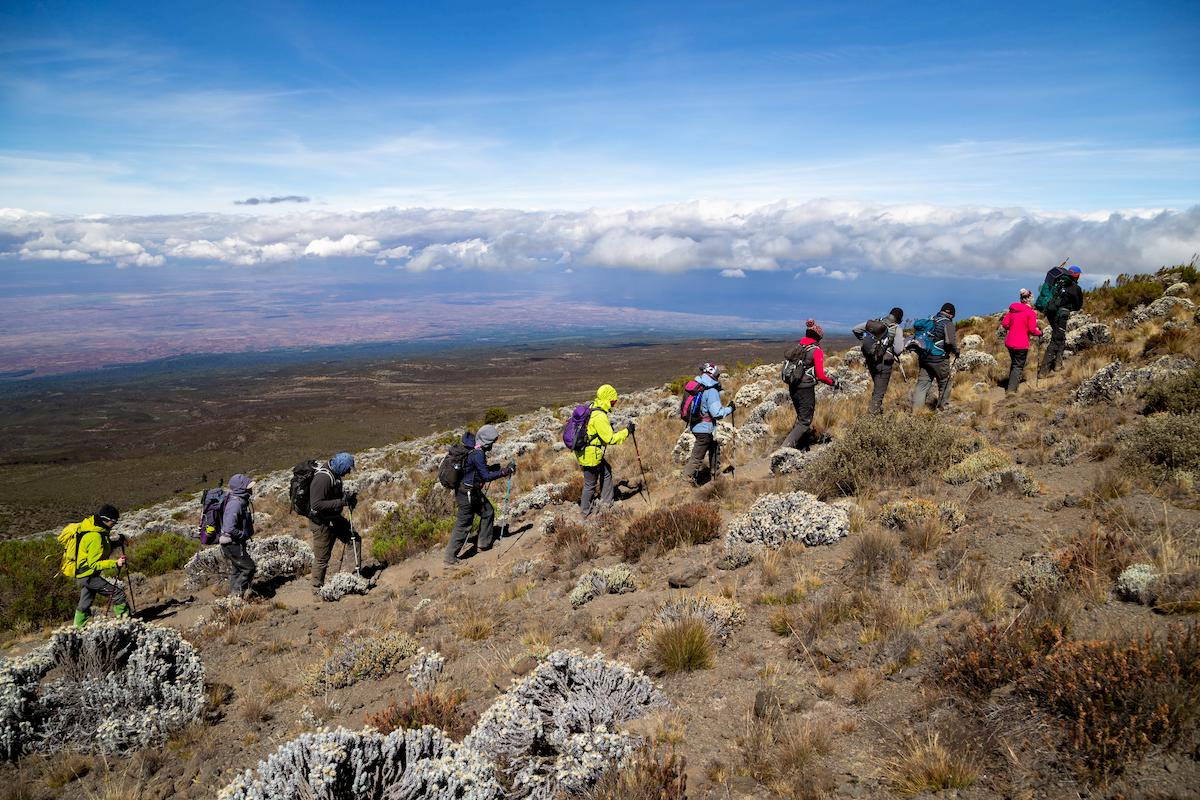 Image Slider No: 4 When is The Best Time to Climb Mt Kilimanjaro? 