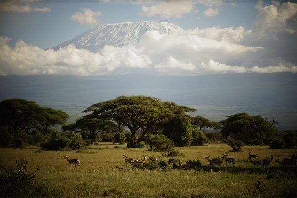 Thumb Nail Image: 5 9 Things Nobody Tells You About Traveling in Tanzania