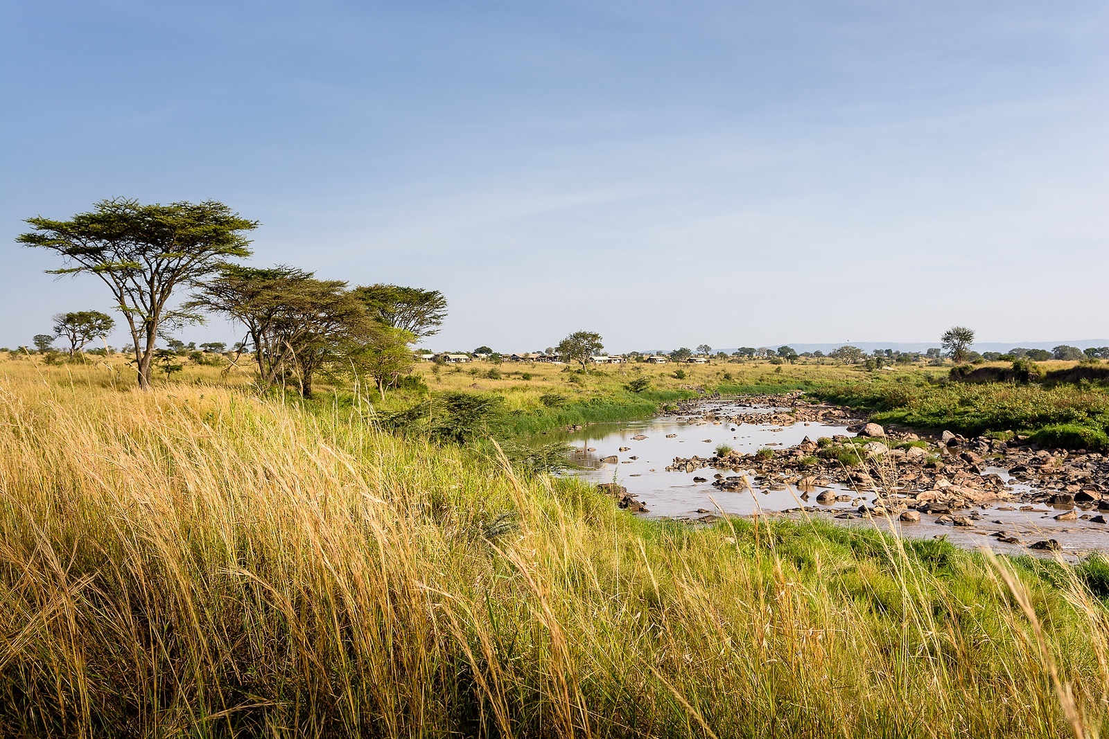 Image Slider No: 2 5-Day Luxury Fly-In Tanzania Safari – Serengeti & Ngorongoro Crater