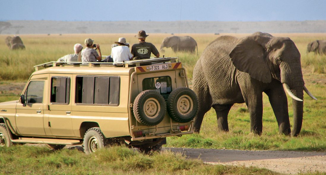 Image Slider No: 1 3 Days Tanzania Safari Adventures