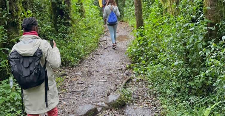 SlideShow Image number: 1 Kilimanjaro  - How to Prepare for Kilimanjaro Trek