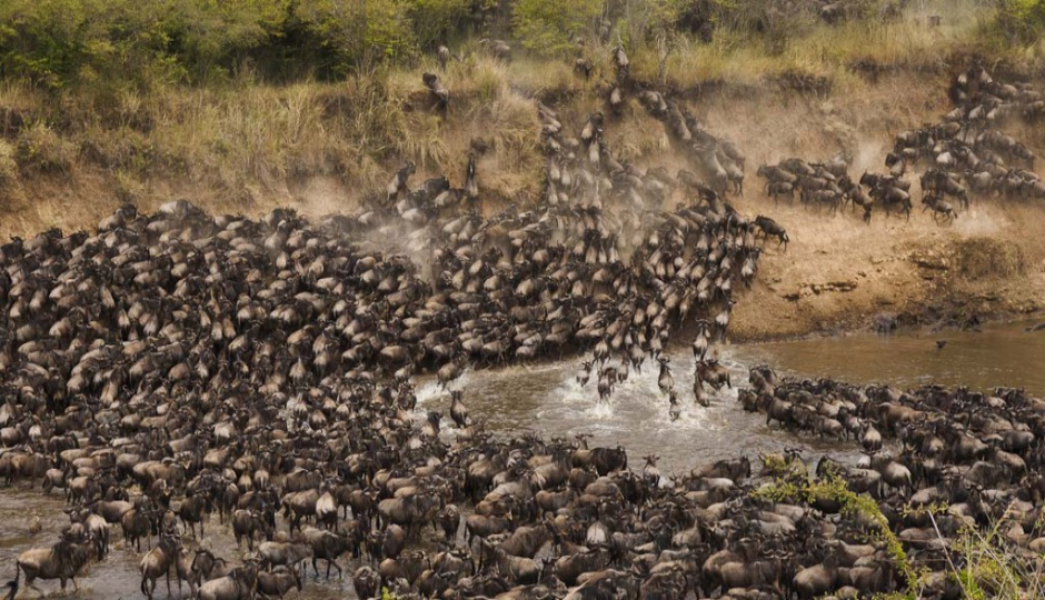 Thumb Nail Image: 6 10 Interesting Facts About Serengeti National Park