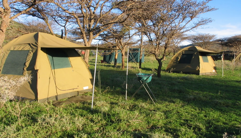 Thumb Nail Image: 1 Serengeti Safari: Finding the Perfect Accommodation Amidst the Wild