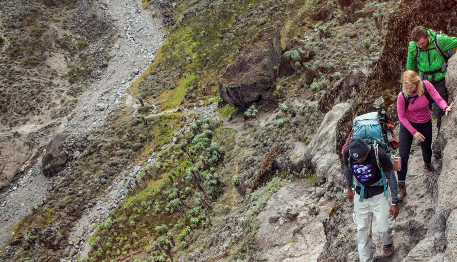 Thumb Nail Image: 1 Mount Kilimanjaro Ecological Zones