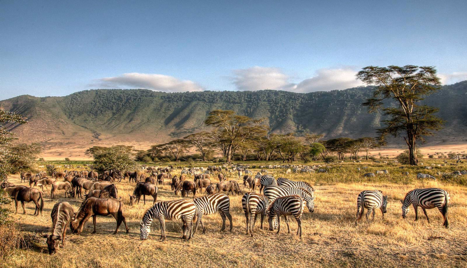 Thumb Nail Image: 1 Explore the Marvels of Tanzania Holidays: Top 10 Destinations