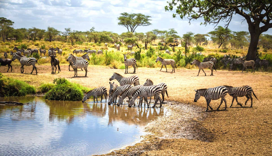 Thumb Nail Image: 2 Travel Tips for an Unforgettable Tanzania Safari and Beach Holiday