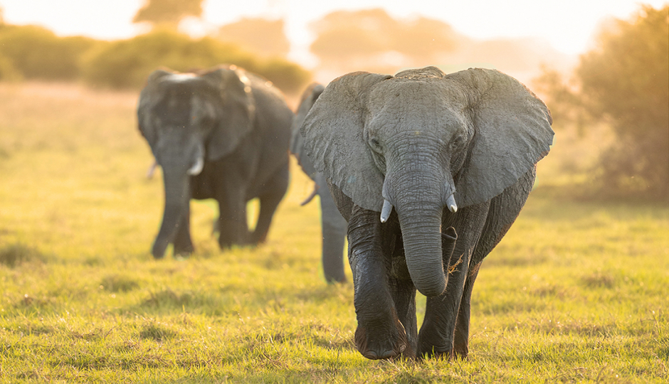 Thumb Nail Image: 3 What to Wear on a Tanzania Safari: The Ultimate Guide