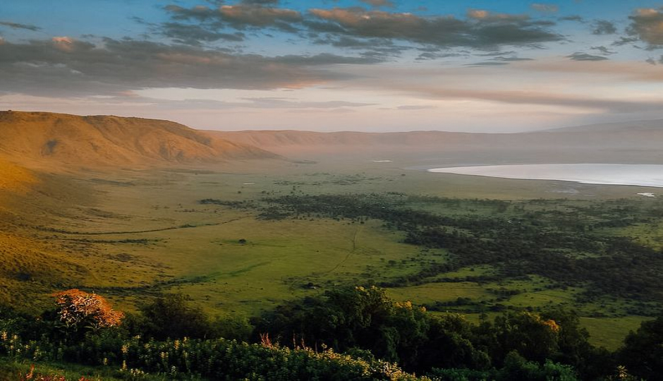 Thumb Nail Image: 2 A Breathtaking Adventure - Witnessing Wildlife in a Tanzania Safari