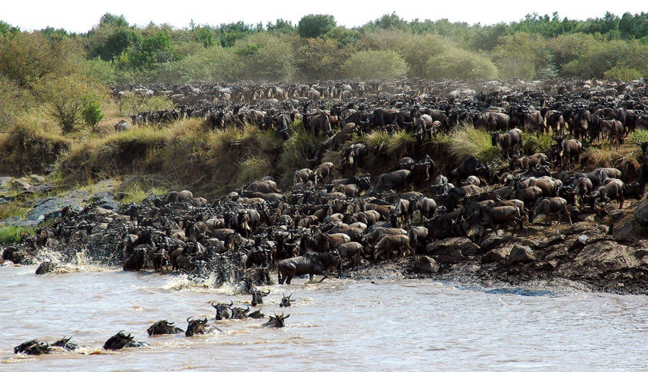 Thumb Nail Image: 4 10 Interesting Facts About Serengeti National Park