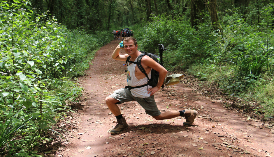 Image Is It Worth Going on a 1-Day Tanzania Safari?