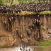 Thumb Nail Image: 4 The Best Time for Safari in Tanzania: Unlocking Nature's Spectacle