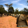 Thumb Nail Image: 3 Discover the Marvels of Tanzania Camping Safaris - A Nature Enthusiast's Haven