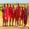 The Story of Tanzania Safari with A Seasoned Maasai Guide