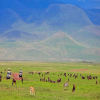 Blog post Wilderness Unveiled: 7 Northern Tanzanian Havens for Wildlife Game Viewing Title