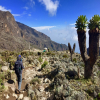 Blog post Mount Kilimanjaro Ecological Zones Title