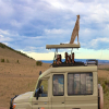 Thumb Nail Image: 4 Things to Pack for Your Tanzania Lodge Safari 