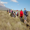 Blog post What to Consider When Joining a Kilimanjaro Climbing Group  Title
