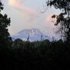 Thumb Nail Image: 3 Mount Kilimanjaro Important Information that You Didn't Know