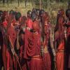 Thumb Nail Image: 3 The Maasai: Exploring the Vibrant Culture of Africa's Iconic Tribe