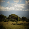 Thumb Nail Image: 5 How Long Does It Take to Climb Mount Kilimanjaro With A Guide?