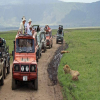 Thumb Image No: 3 Ngorongoro Crater Day Tour Safari