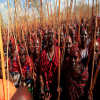 Thumb Nail Image: 2 The Maasai: Exploring the Vibrant Culture of Africa's Iconic Tribe