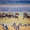 Thumb Nail Image: 2 Your Ultimate Guide to Tanzania Safari Booking