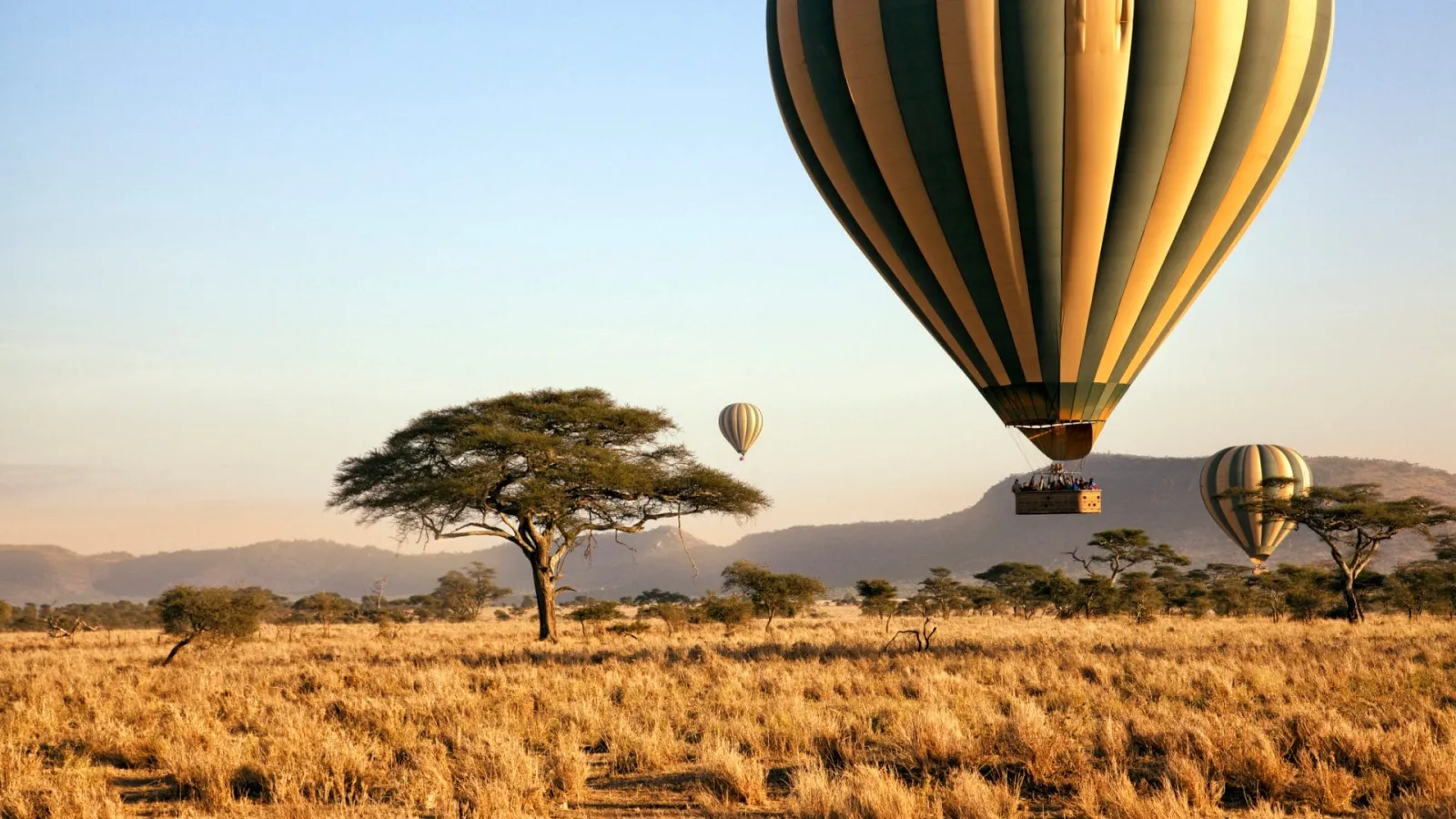 Serengeti Plains Image – Tanzania Safari with Lindo Travel & Tours