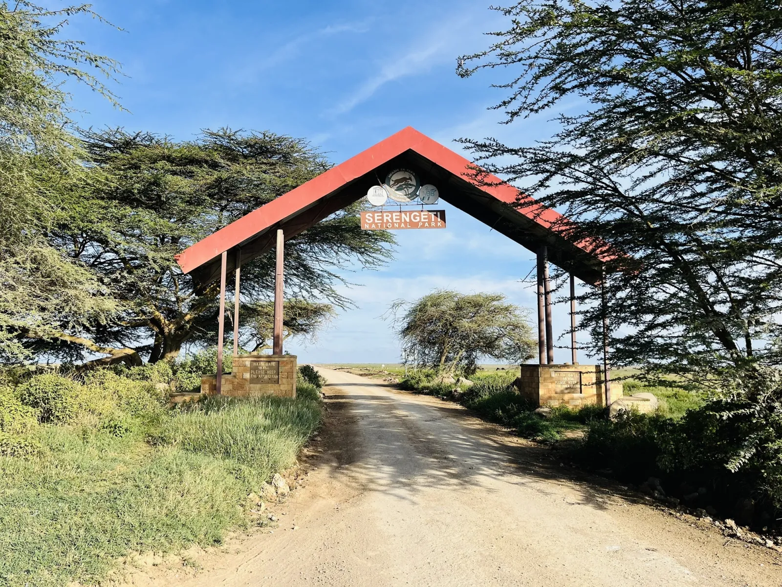 Serengeti – Tanzania Safari with Lindo Travel & Tours