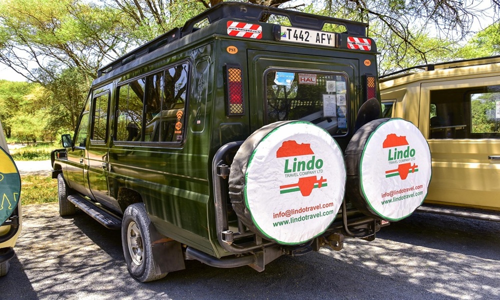 Our Safari Vehicle