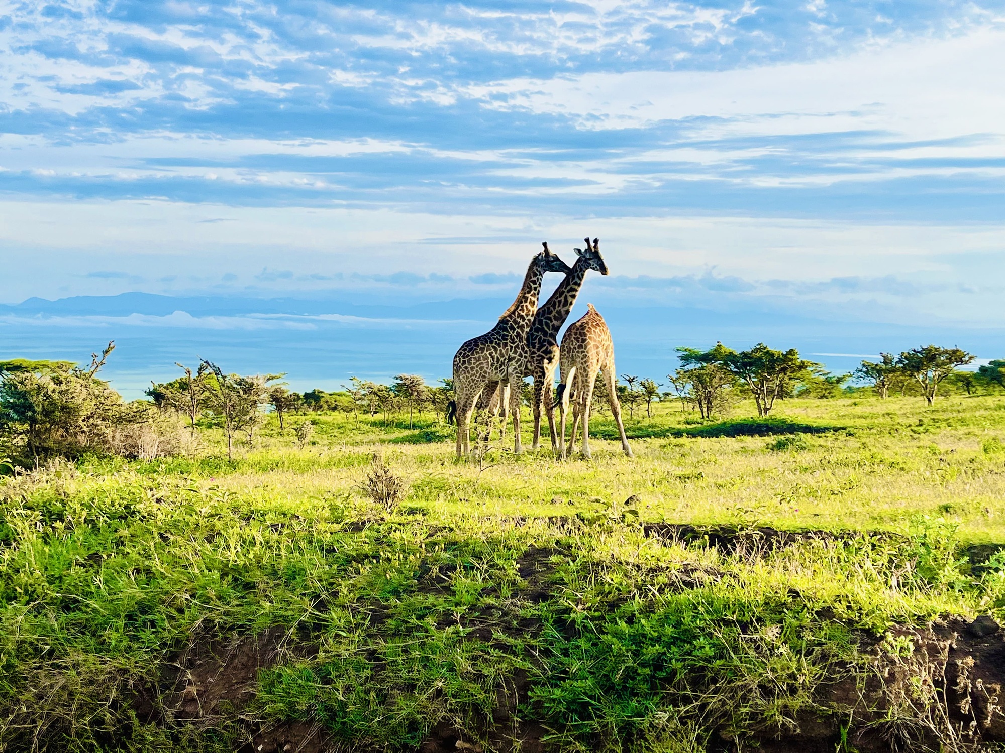 Day tours in Tanzania