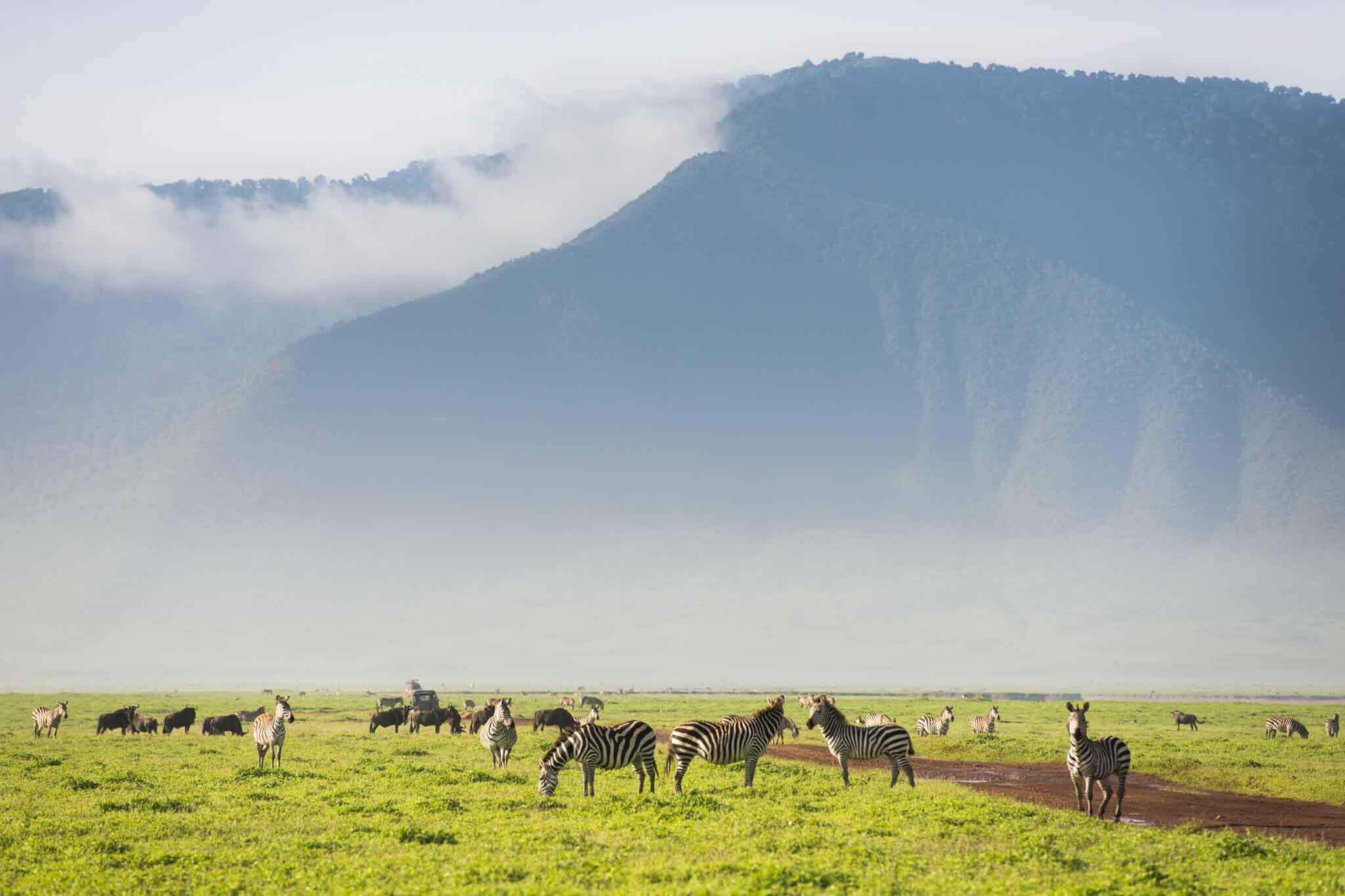 Image Slider No: 3 5 Days Tanzania Lodge Safari: Tarangire, Serengeti, and Ngorongoro