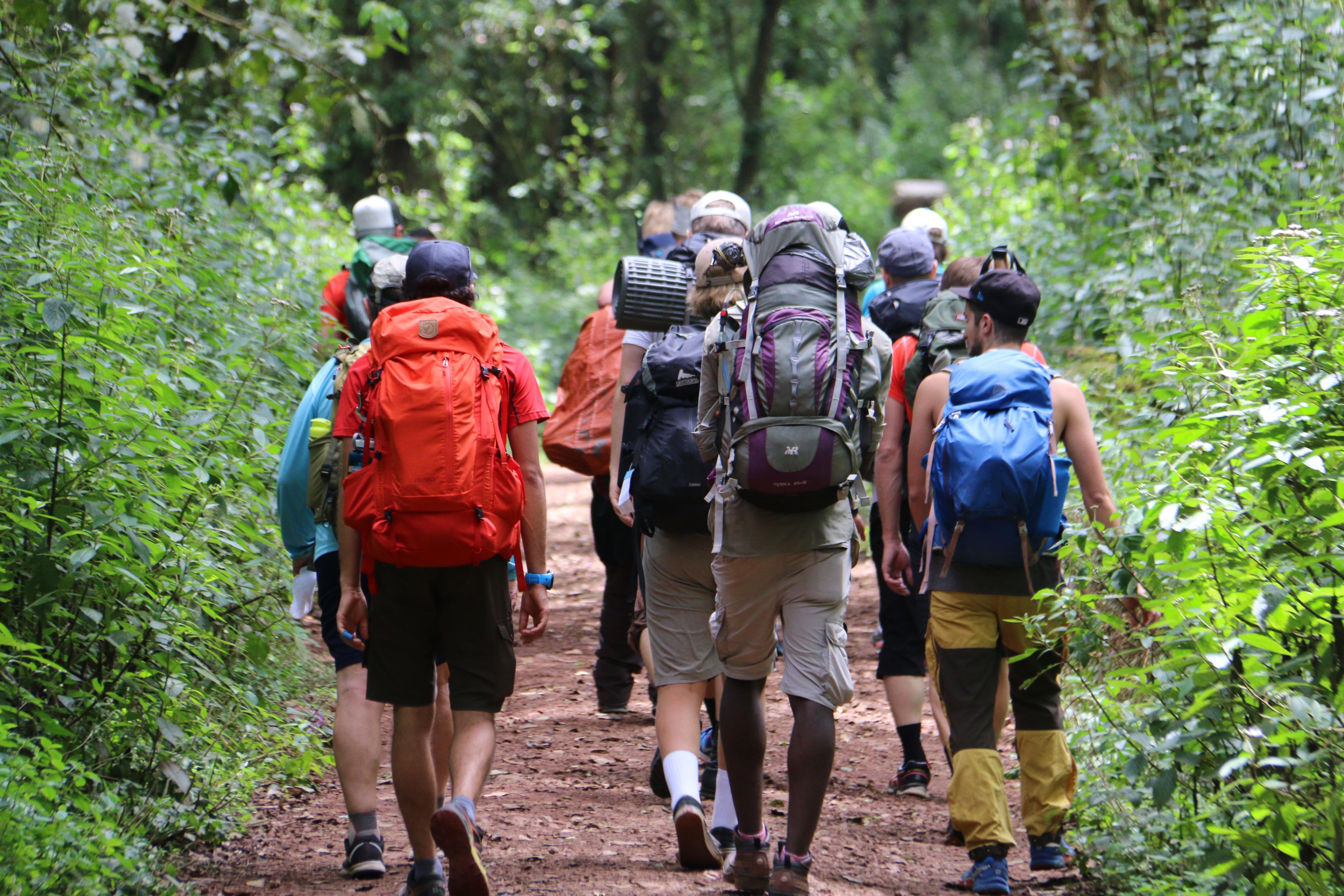 SlideShow Image number: 7 Latest News - Looking to Join a Small Group Kilimanjaro Climb? Here’s Everything You Need to Know