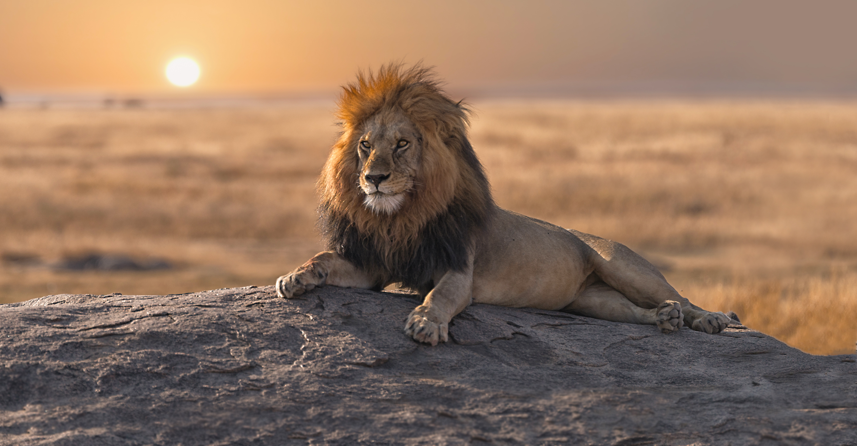 Image Slider No: 5 5 Days Tanzania Lodge Safari: Tarangire, Serengeti, and Ngorongoro