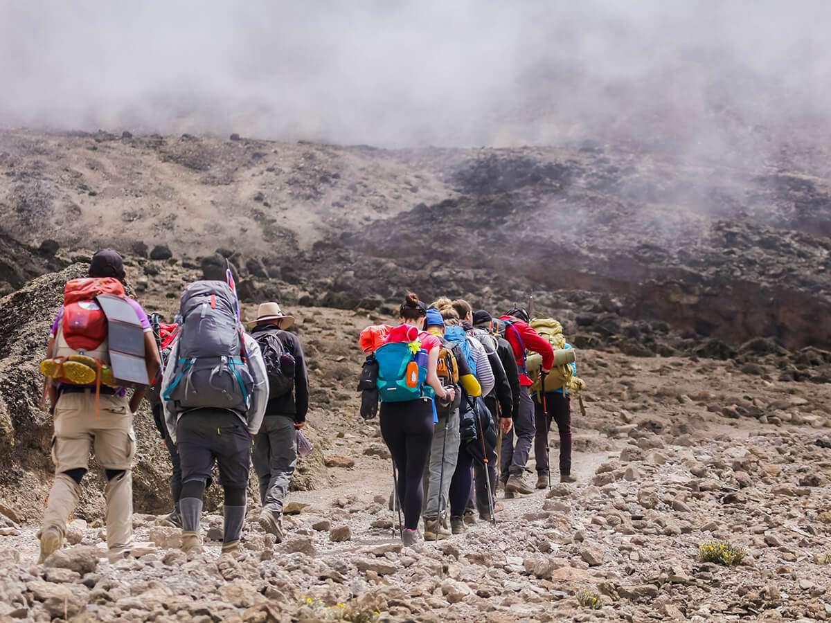 Image Slider No: 8  Affordable Kilimanjaro Climbing Groups to Join