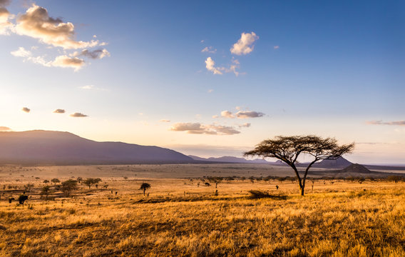 Image Slider No: 3 6 Day Honeymoon Safari in Tanzania 