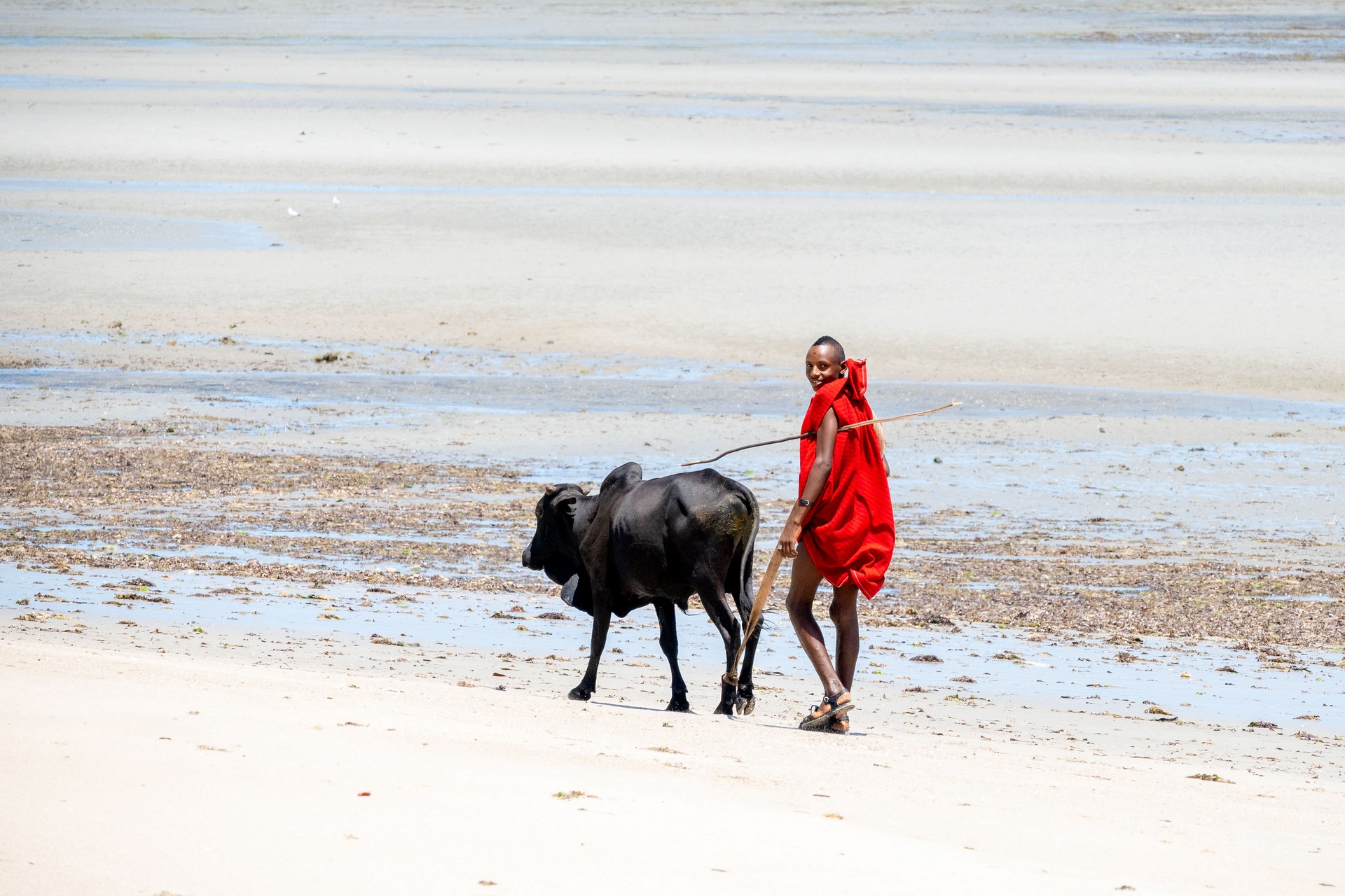 SlideShow Image number: 1 Latest News - Is Tanzania Safe for Tourists in 2026? – A Local Guide’s Honest Answer