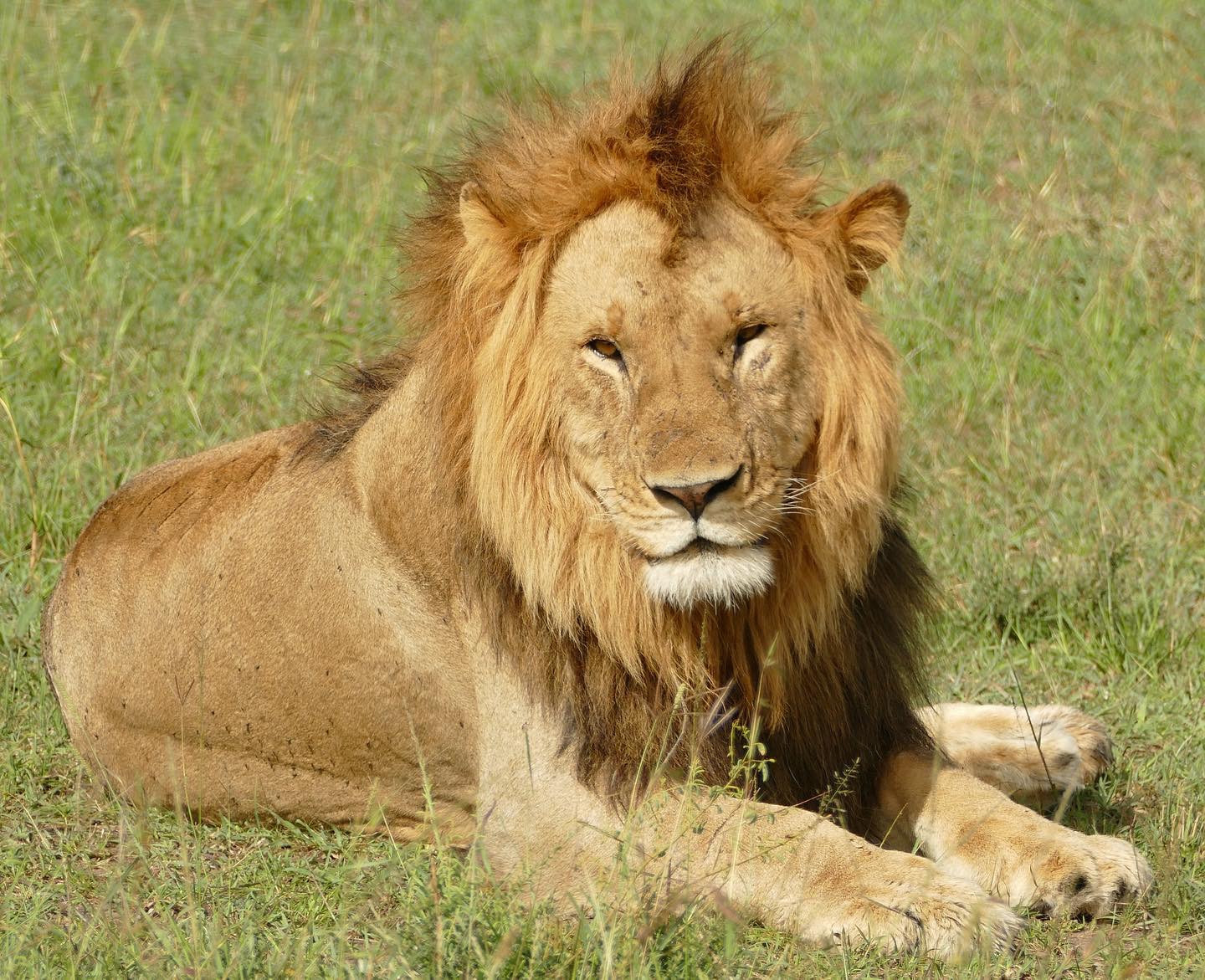 Image Slider No: 7 7 Days Luxury Tanzania Safari