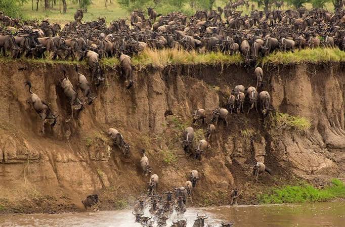 SlideShow Image number: 1 Tanzania Safari - Where to See the Great Migration in September: A Complete Guide to Northern Serengeti